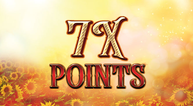 7XPts